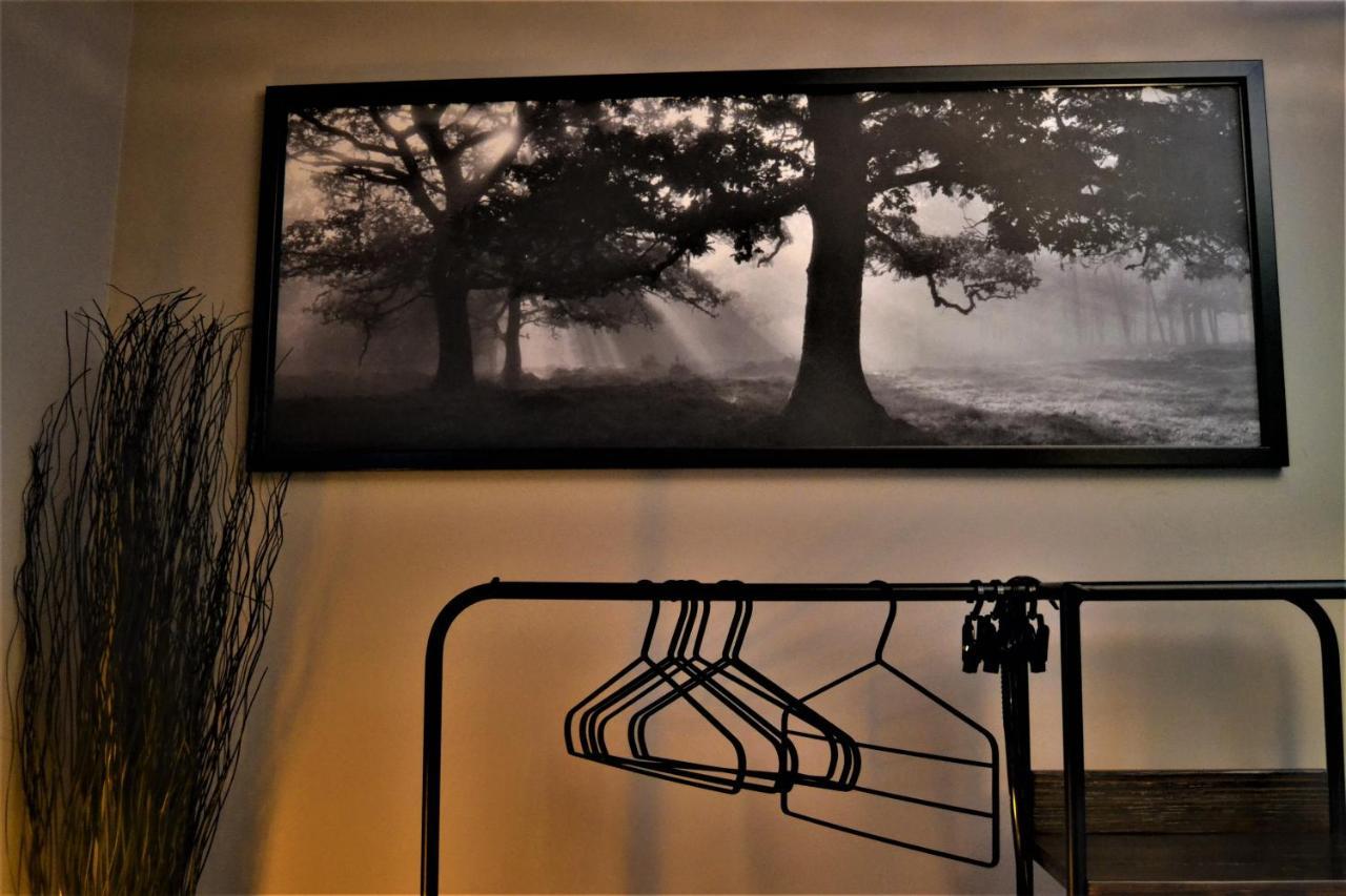 Trieste59 B&B エクステリア 写真
